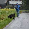 p - wurf 2023 jule erwartet die welpen 6